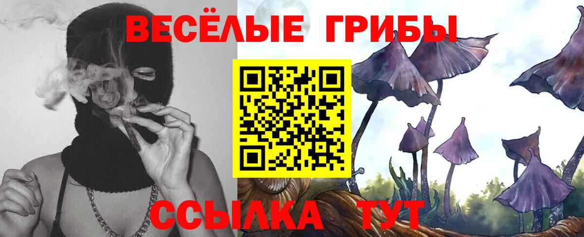 Галлюциногенные грибы GOLDEN TEACHER  Галлюциногенные грибы Psilocybe  Карпинск  Вход с VPN 
